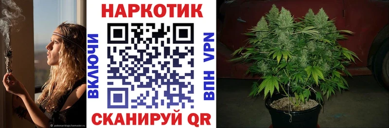 APVP Енисейск