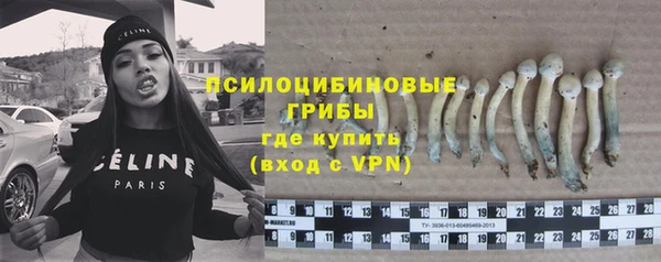 амф Заволжье