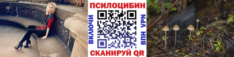 где продают наркотики  МЕГА сайт  Псилоцибиновые грибы мухоморы  Енисейск 